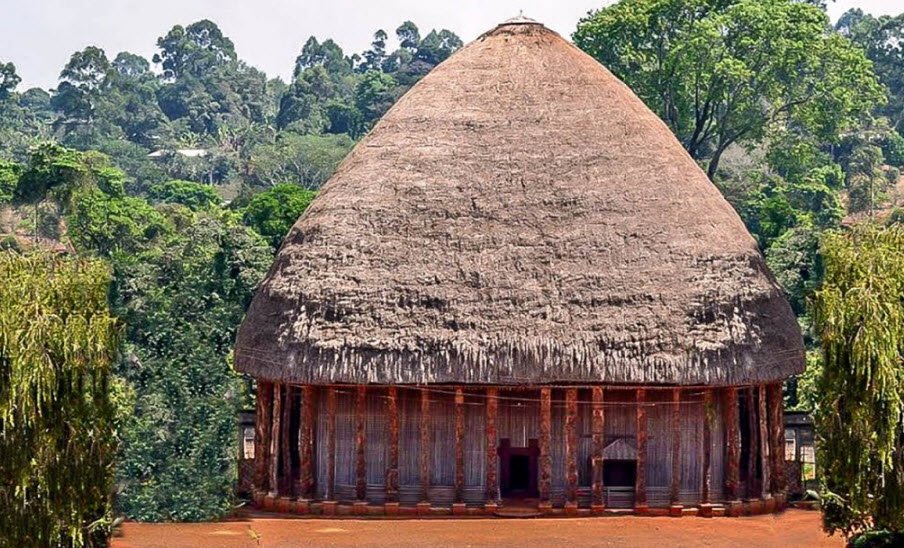 Korup National Park, Southwest Region (near Mundemba), Cameroon
